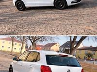 Gebraucht VW Polo Comfortline 60 PS (44 kW) 2014 Weiß Kleinwagen