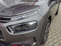 Gebraucht Citroën C4 Cactus PureTech 110 PS (80 kW) 2020 Grau Kleinwagen