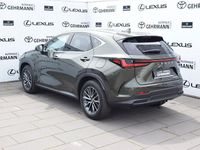 Gebraucht Lexus NX450h+ Business Edition 309 PS (227 kW) 2025 Grün SUV