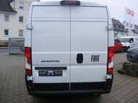 Gebraucht Fiat Ducato 140 PS (102 kW) 2024 Weiß Van