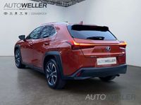 gebraucht Lexus UX 250h Amazing Edition *CarPlay*LED*ALU*SHZ*