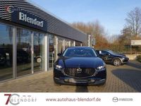 Gebraucht Mazda CX-30 Active 150 PS (110 kW) 2023 Deep crystal blue SUV