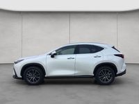 Neu Lexus NX350h Executive Line 200 PS (147 kW) 2025 Weiß SUV