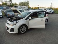 Gebraucht Kia Rio Attract 86 PS (63 kW) 2015 (ud) clear white Kleinwagen