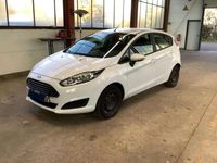 Gebraucht Ford Fiesta Trend 101 PS (74 kW) 2013 Frostweiß Kleinwagen