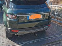 Brugt Land Rover Range Rover evoque 150 HK (110 kW) 2011 Grøn SUV