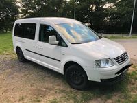 Gebraucht VW Caddy Maxi Life 102 PS (75 kW) 2008 Weiß Van / Kleinbus