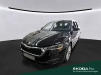 Gebraucht Skoda Octavia Style 150 PS (110 kW) 2024 Blackmagic perleffekt Kombi
