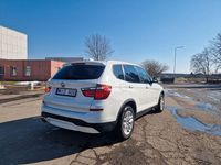 Gebraucht BMW X3 Sport Line 258 PS (189 kW) 2014 Weiß SUV