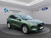 Neu Ford Kuga Titanium 151 PS (111 kW) 2026 Grün SUV