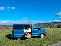 Gebraucht Opel Vivaro 140 PS (102 kW) 2015 Blau Van / Kleinbus