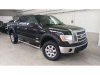 Gebraucht Ford F-150 XLT 281 PS (206 kW) 2014 Abholung