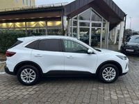 Gebraucht Ford Kuga Titanium 151 PS (111 kW) 2024 Weiß SUV