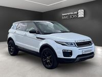 Gebraucht Land Rover Range Rover SE 241 PS (177 kW) 2019 Weiß SUV