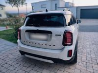 Gebraucht Mini Cooper Untamed Edition 136 PS (100 kW) 2022 Grau Kleinwagen
