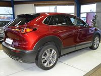 Gebraucht Mazda CX-30 Selection 122 PS (89 kW) 2019 Rot SUV
