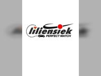 Gebraucht VW Transporter 150 PS (110 kW) 2025 Van