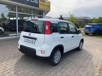 Gebraucht Fiat Panda 69 PS (50 kW) 2025 Weiß Kleinwagen
