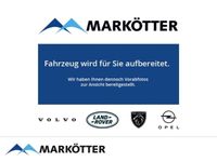 gebraucht Land Rover Range Rover Sport 5.0 HSE Dynamic/NAVI/CAM/Standheizung