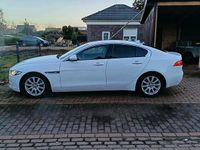 Gebraucht Jaguar XE Prestige 180 PS (132 kW) 2015 Weiß Limousine