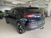 Gebraucht Opel Grandland X 131 PS (96 kW) 2019 Violet SUV