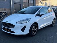 Gebraucht Ford Fiesta Trend 86 PS (63 kW) 2019 Weiß Kleinwagen