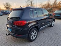 Gebraucht VW Tiguan Cup 140 PS (102 kW) 2014 Schwarz SUV