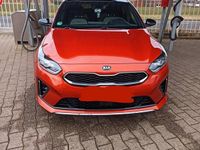 Gebraucht Kia ProCeed 136 PS (100 kW) 2020 Orange Kombi