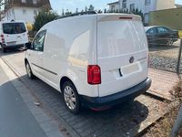 Gebraucht VW Caddy 105 PS (77 kW) 2016 Weiß Van / Kleinbus