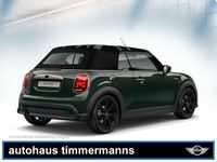 Gebraucht Mini Cooper Cabriolet Resolute Edition 136 PS (100 kW) 2023 Grün Cabrio