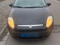 Gebraucht Fiat Punto 65 PS (47 kW) 2011 Schwarz Kleinwagen