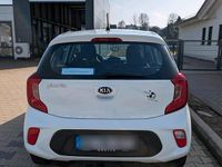 Gebraucht Kia Picanto 84 PS (61 kW) 2019 Weiß Kleinwagen