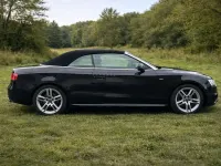 Gebraucht Audi A5 Cabriolet S-Line 170 PS (125 kW) 2014 Schwarz Cabrio