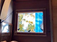 Gebraucht Iveco Daily 78 PS (57 kW) 2010 Grün Van / Kleinbus