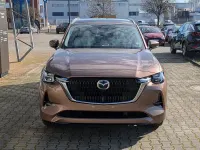 Neu Mazda CX-80 Takumi-Line 254 PS (186 kW) 2026 Gold SUV