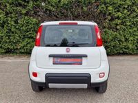 gebraucht Fiat Panda 4x4 0.9 Twinair Turbo ROCK Klima, Bluetooth...