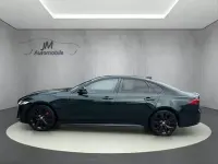 Gebraucht Jaguar XF R-Dynamic 204 PS (150 kW) 2023 Grün Limousine