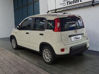 Gebraucht Fiat Panda 69 PS (50 kW) 2023 Weiß Limousine