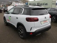 Neu Citroën C5 131 PS (96 kW) 2026 Weiß SUV