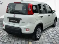 Gebraucht Fiat Panda 71 PS (52 kW) 2024 Weiß Kleinwagen