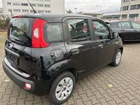 gebraucht Fiat Panda 1.2 Pop/TÜV/Klima/Voll Serviceheft gepfleg