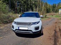 gebraucht Land Rover Range Rover evoque eD4 Pure