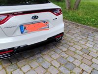 Gebraucht Kia Stinger Exclusive 200 PS (147 kW) 2018 Weiß Kleinwagen