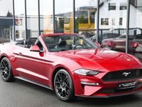 gebraucht Ford Mustang Cabrio 2.3 EcoBoost Navi* MagneRide*