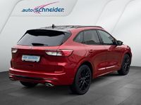Gebraucht Ford Kuga ST-Line X 150 PS (110 kW) 2023 Lucidrot metallic (metallic) SUV