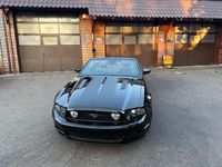 Usata Ford V8 431 CV (317 kW) 2013 Nero Coupé