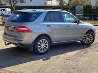 gebraucht Mercedes ML250 cdi 4 Matik