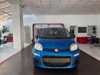 Neu Fiat Panda Icon 69 PS (50 kW) 2025 Blau Kleinwagen