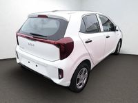 Neu Kia Picanto Edition 7 67 PS (49 kW) 2026 Weiss Kleinwagen
