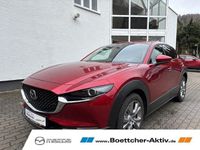 Gebraucht Mazda CX-30 Selection 150 PS (110 kW) 2022 Rot SUV